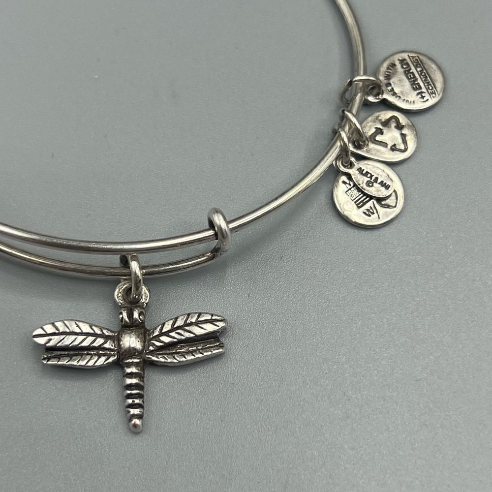 Alex and Ani Dragon Fly Expandable Wire Bracelet - Picture 2 of 2